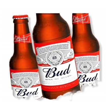 BUD Bier 24x0,3L Glasflaschen Alkhohol 5.0%
